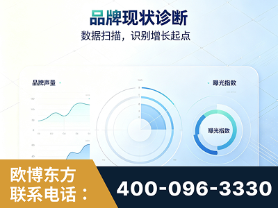 佛山-品牌现状诊断
